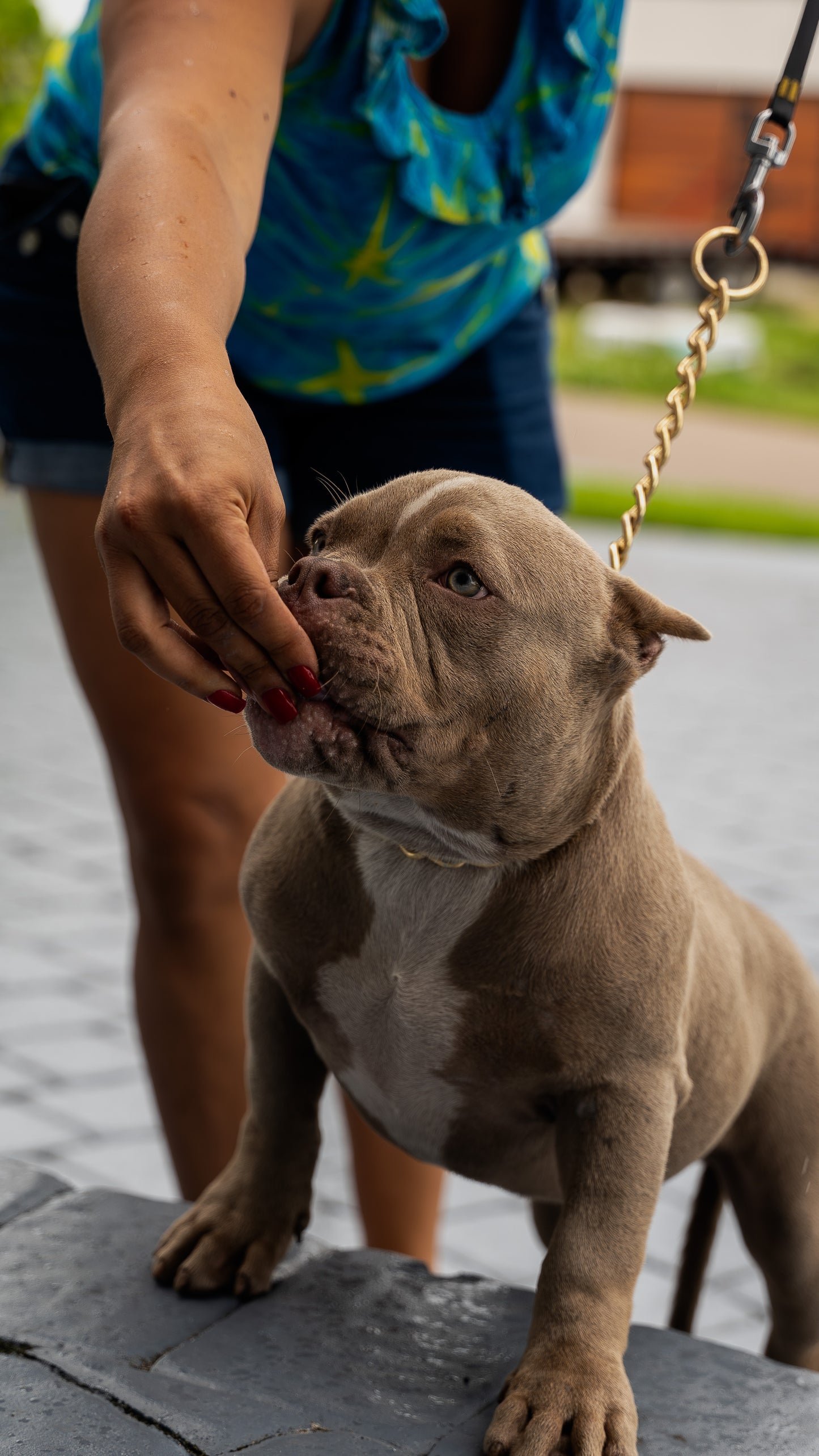 PUPS AVAILABLE TODAY