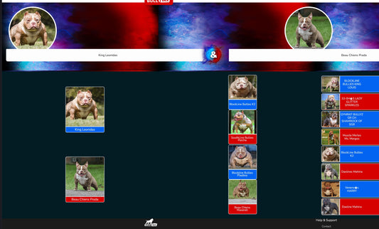 PUPS AVAILABLE TODAY
