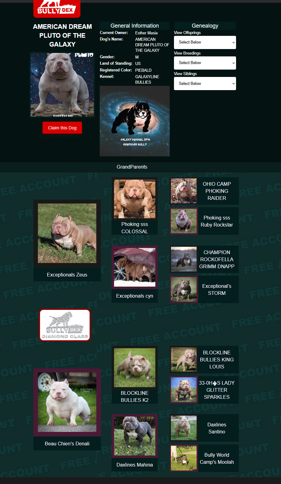 Pedigree of American Dream Pluto of the Galaxy, GalaxyLine Bullies stud