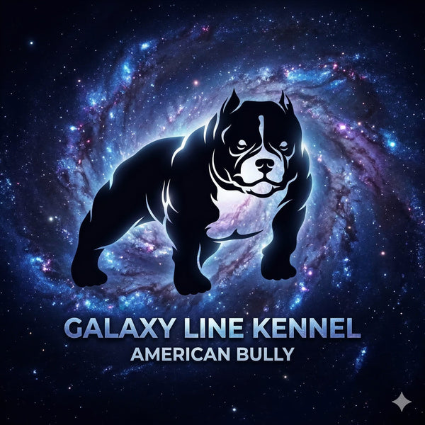 GalaxyLineBullies