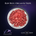 Raw beef, organ and green tripe dog food in a bowl, 10 lb blocks, GalaxyLine Bullies