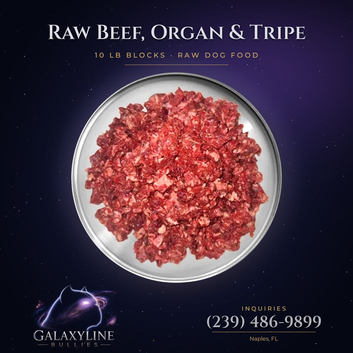 Raw beef, organ and green tripe dog food in a bowl, 10 lb blocks, GalaxyLine Bullies